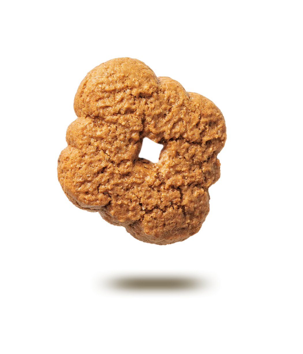 Falcone Rombi Mattino Whole Wheat Cookies, 17.6 oz | 500g - Image 2