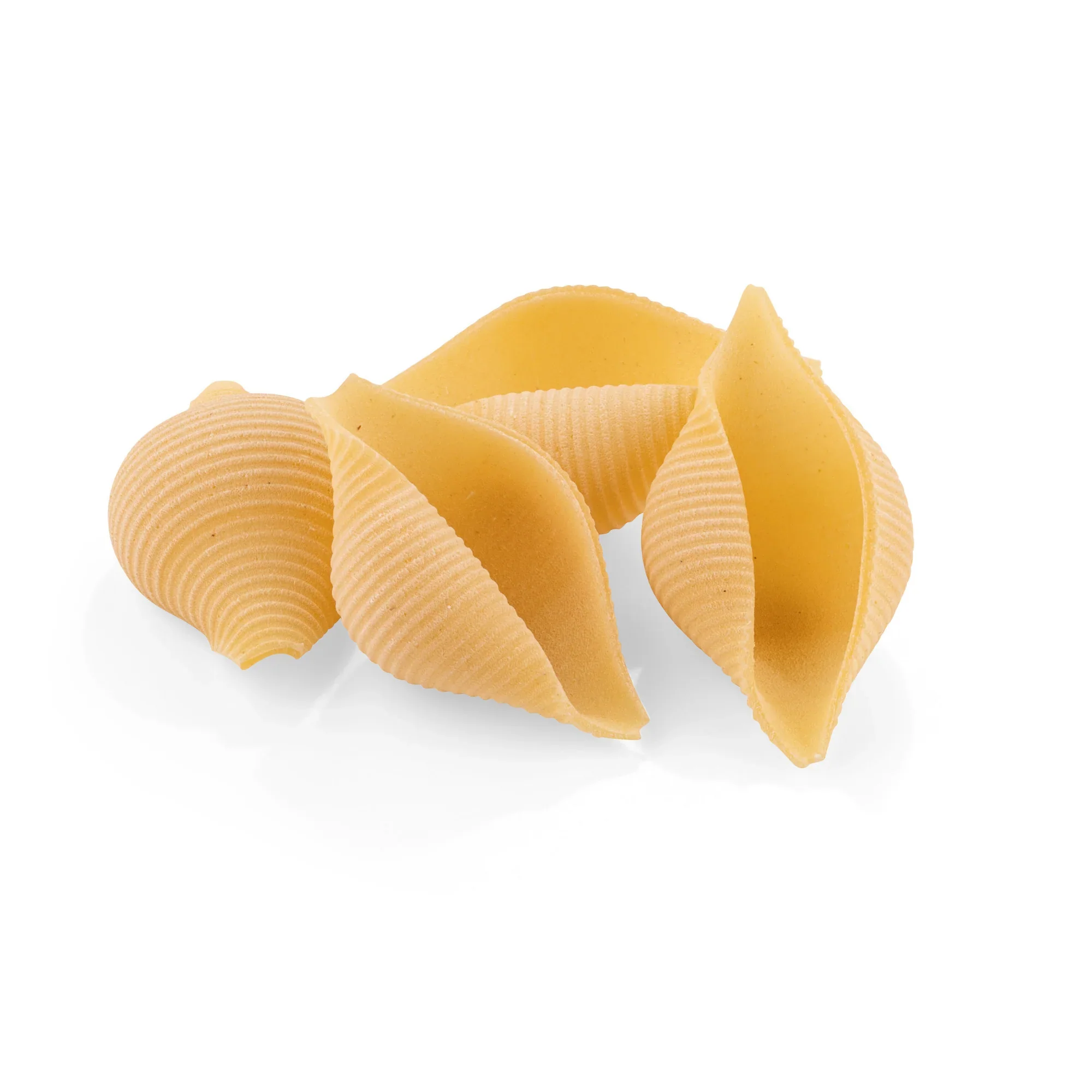 La Fabbrica Della Pasta Conchiglioni Giganti #542, 17.6 oz | 500g | Pasta di Gragnano I.G.P. - Image 2