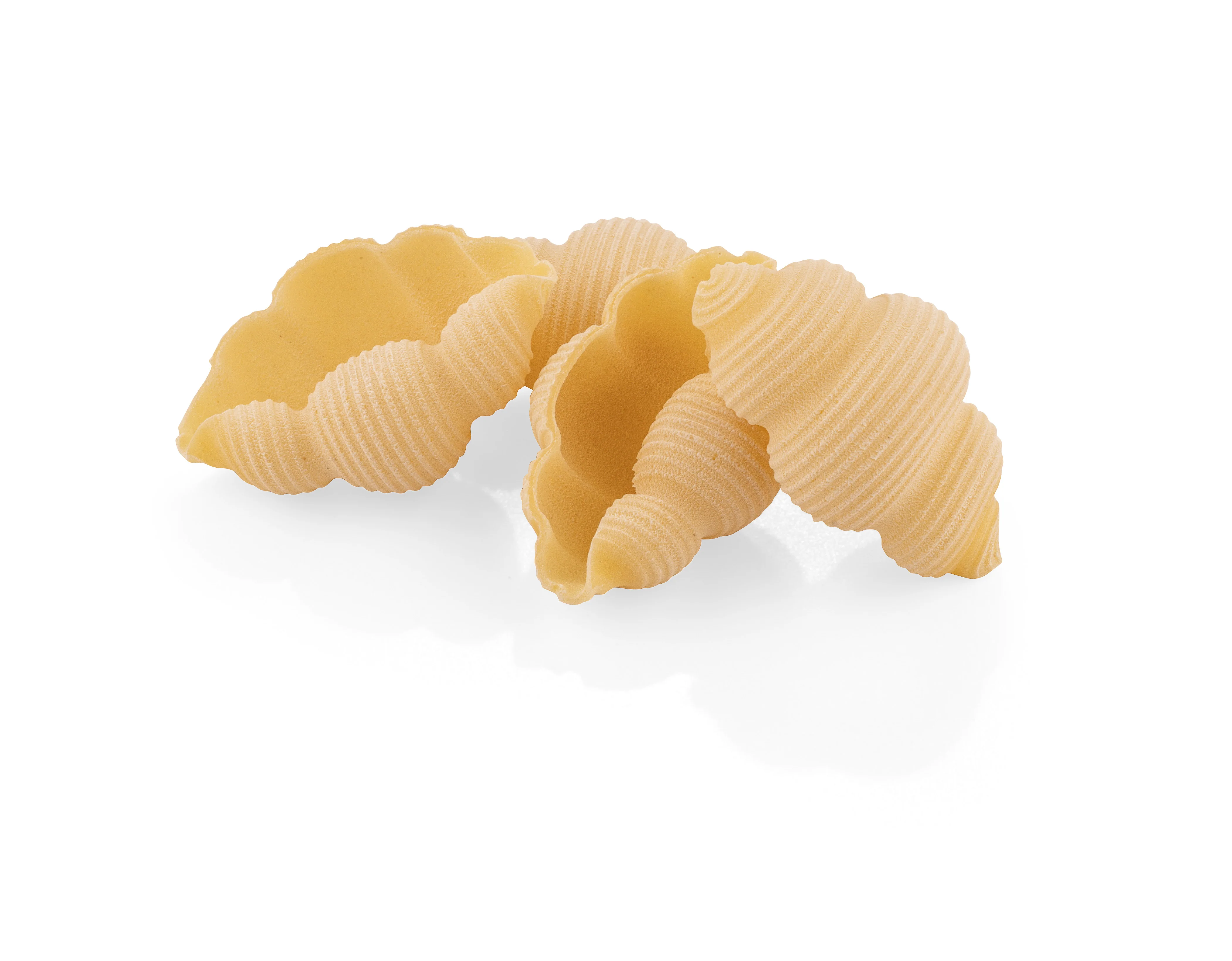 La Fabbrica Della Pasta La Gnocca #471, 17.6 oz | 500g | Pasta di Gragnano I.G.P. - Image 2