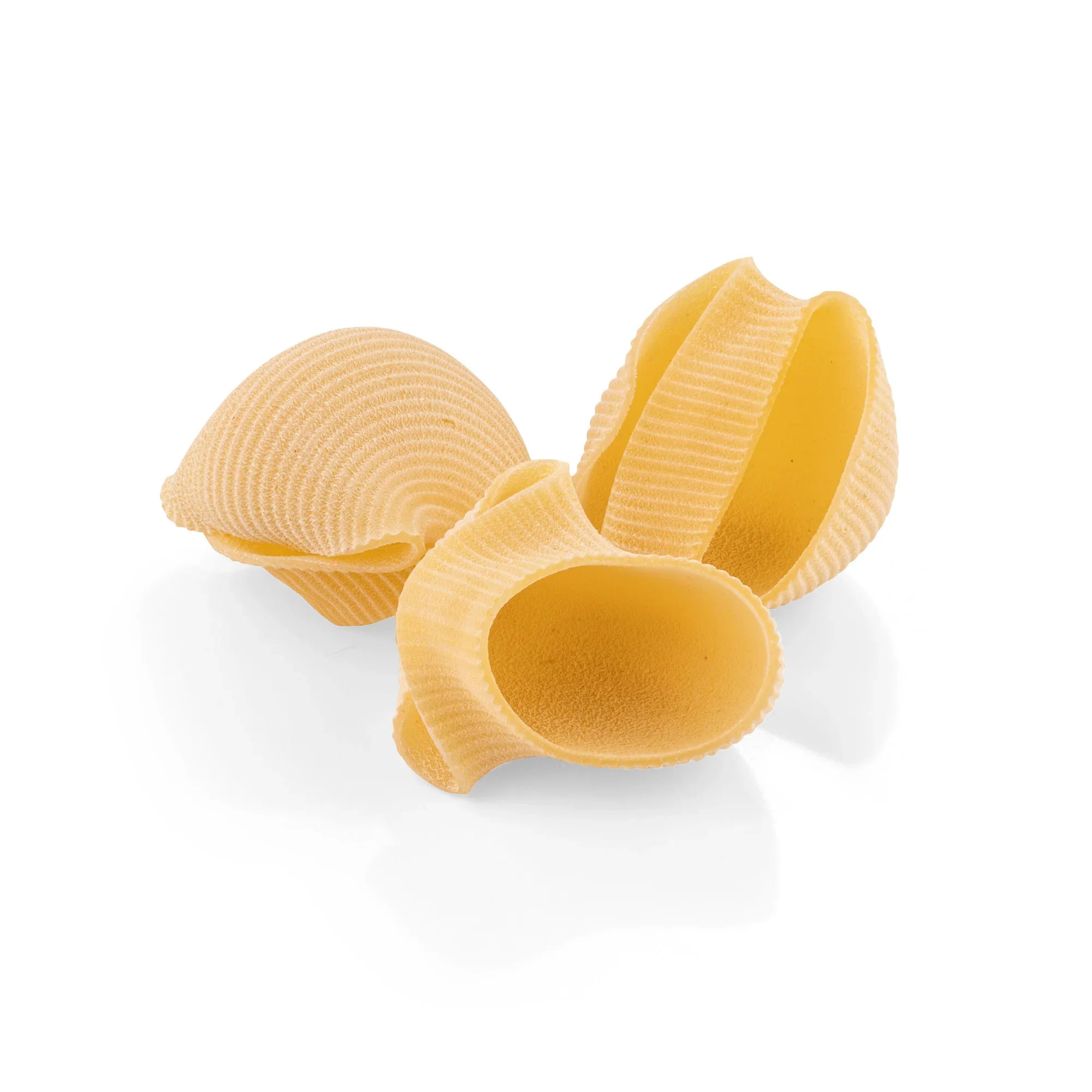 La Fabbrica Della Pasta Lumaconi, #553, 17.6 oz | 500gr - Image 2