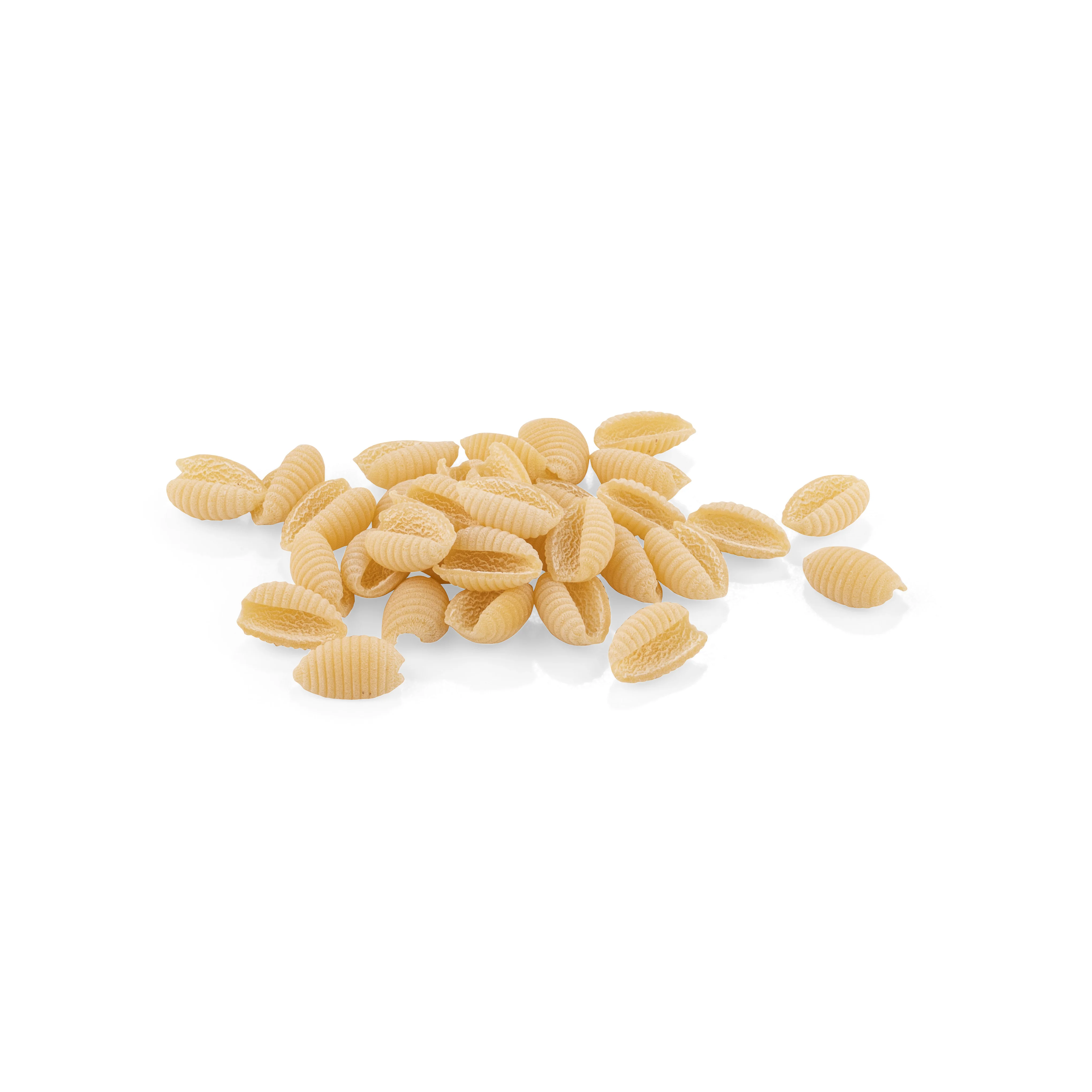 La Fabbrica della Pasta Gnocchetti Rigati, #721, 17.6 oz | 500gr - Image 2