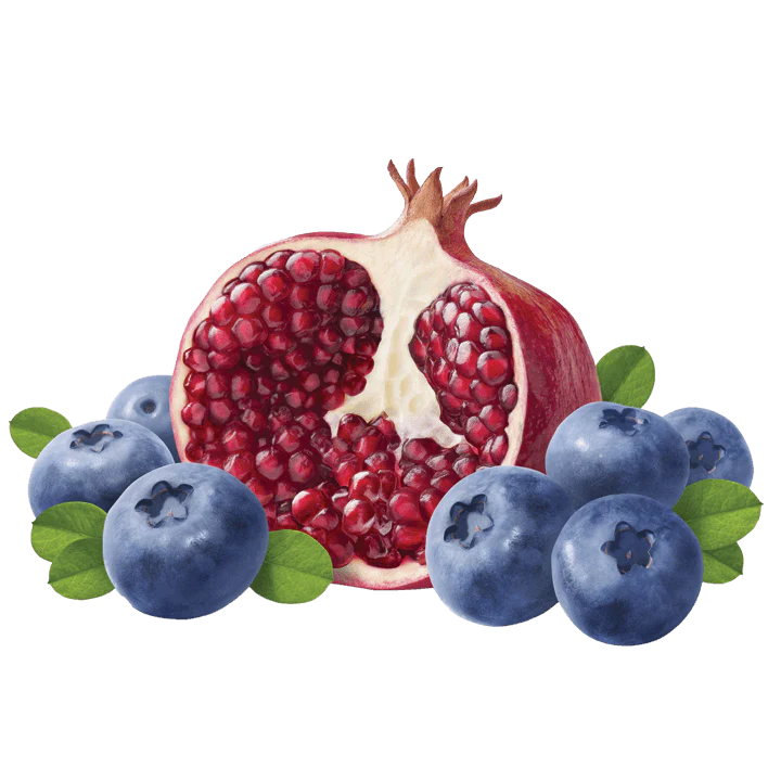 Le Preziose Jellies with Pomegranates and Blueberries Juice, 7.05 oz | 200g - Image 2
