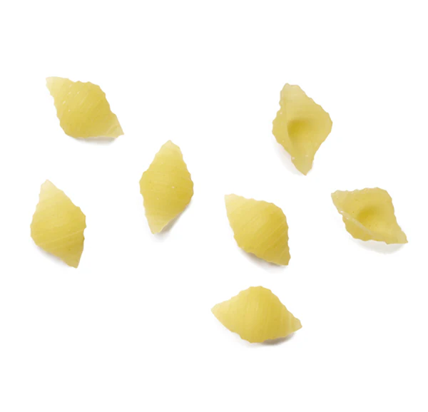 Riscossa Coccioline Pasta, #43, 16 oz | 454g - Image 2