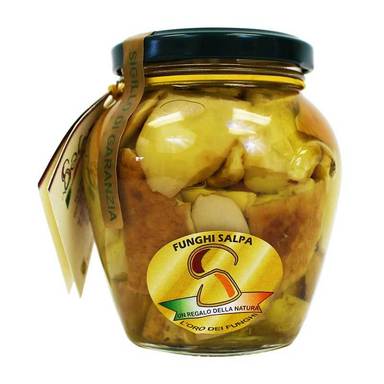 Salpa Porcini Mushrooms in Olive Oil, 9.9 oz | 280g - Image 2